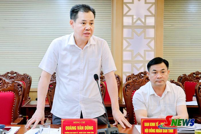 Lãnh đạo Ban Kinh tế Ngân sách, HĐND tỉnh phát biểu tại hội nghị thẩm tra.