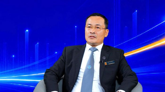 PGS.TS. Trần Văn Dũng - Luật sư, Chủ tịch Hãng Luật Vũ Mackenzie Việt Nam (VMK)