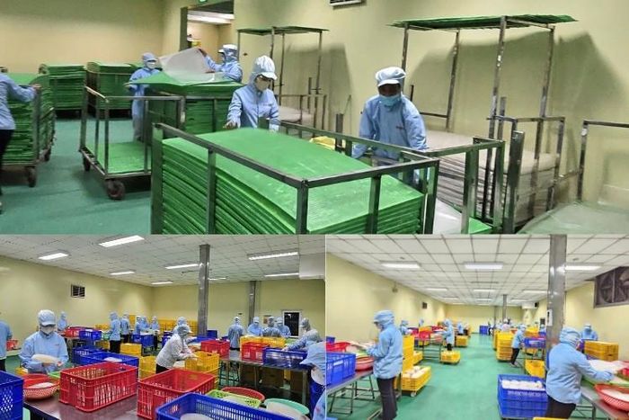 Khu vực đóng gói sản phẩm được đầu tư hiện đại, đáp ứng các tiêu chuẩn về vệ sinh an toàn thực phẩm trước khi đưa ra thị trường.