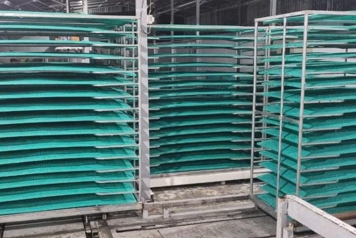 Hệ thống sấy bánh tráng hiện đại giúp doanh nghiệp chủ động sản xuất quanh năm, không còn phụ thuộc vào điều kiện thời tiết.