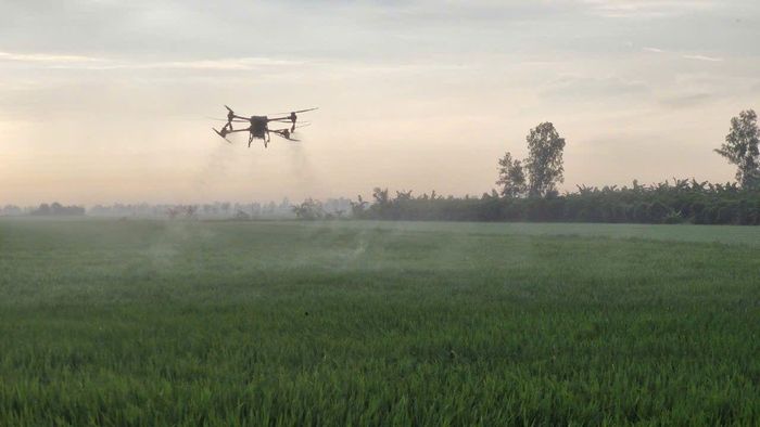 Nhiều công nghệ tiên tiến được áp dụng trong ngành nông nghiệp giúp nông dân đạt hiệu quả cao.