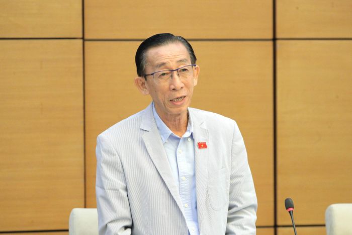 ĐBQH Trần Hoàng Ngân (TP. Hồ Chí Minh) phát biểu