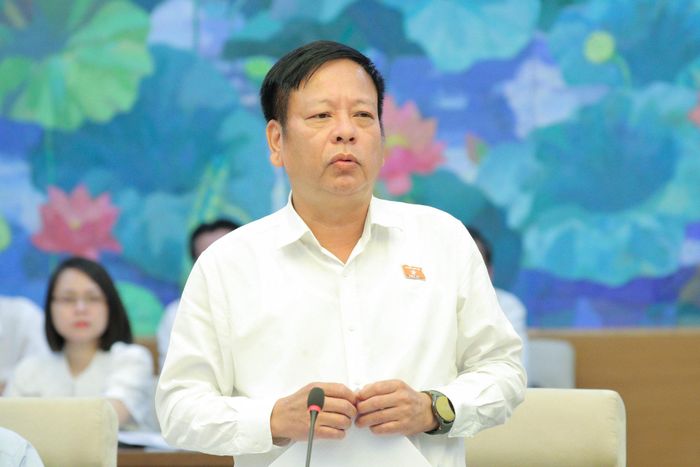 Phó Chủ nhiệm Ủy ban Pháp luật và Tư pháp Nguyễn Trường Giang phát biểu