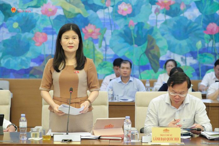Phó Chủ nhiệm Ủy ban Công tác đại biểu Bùi Thị Quỳnh Thơ phát biểu