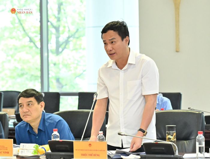 Phó Chủ nhiệm Ủy ban Văn hóa và Xã hội Triệu Thế Hùng phát biểu tại phiên họp