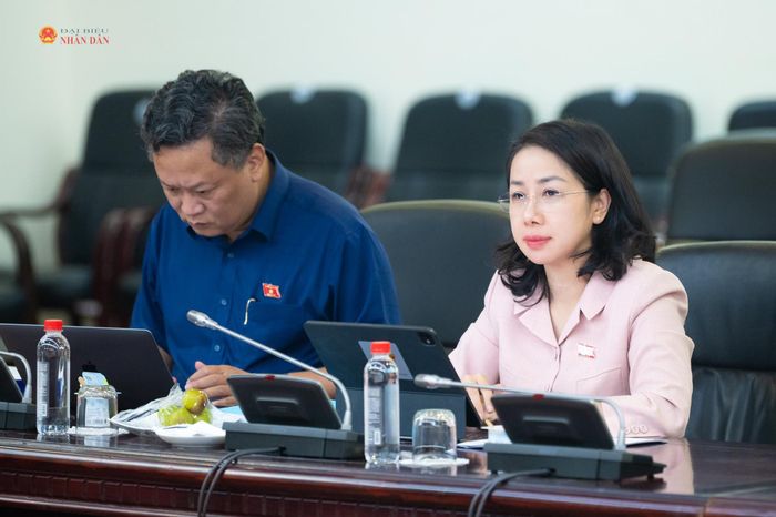 Các Ủy viên Thường trực Ủy ban Văn hóa và Xã hội tham dự phiên họp
