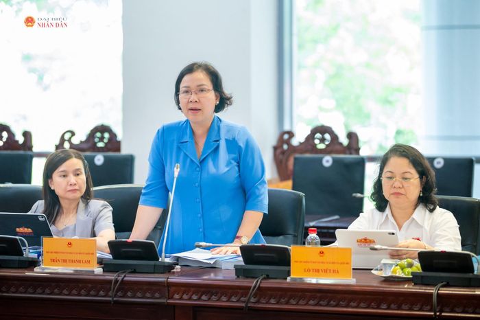 Phó Chủ nhiệm Ủy ban Văn hóa và Xã hội Trần Thị Thanh Lam phát biểu tại cuộc làm việc
