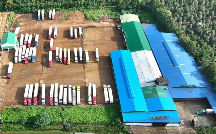 Bên cạnh mã số vùng trồng, các cơ sở đủ điều kiện cấp mã đóng gói còn hạn chế dẫn đến nhiều khó khăn trong việc thu mua, xuất khẩu sầu riêng.