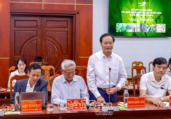 Ông Phùng Quốc Mẫn, Chủ tịch Hội Mỹ nghệ và Chế biến gỗ Thành phố Hồ Chí Minh (HAWA), phát biểu tại buổi làm việc.