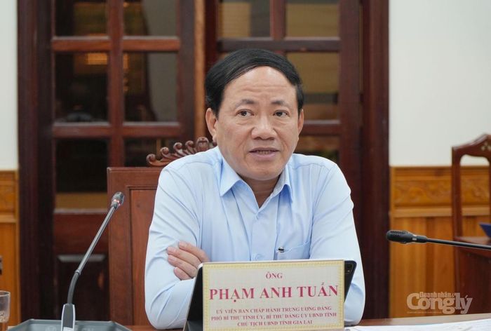 Chủ tịch UBND tỉnh Phạm Anh Tuấn làm việc với đại diện theo pháp luật kiêm Giám đốc Đối ngoại Công ty TNHH MM Mega Market.