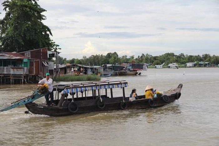 Đò chở người dân qua sông, nhưng cũng theo kỷ niệm tuổi thơ
