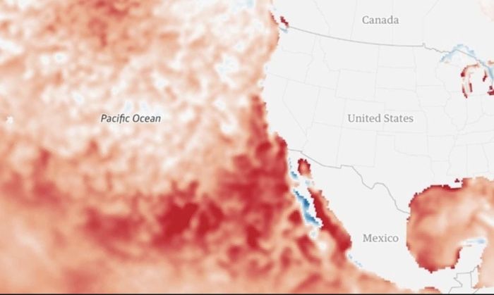 Sóng nhiệt ngoài khơi phía Tây nước Mỹ. Ảnh: NOAA