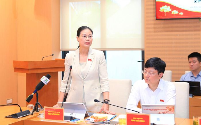 Trưởng ban Văn hóa - Xã hội HĐND thành phố Hà Nội Bạch Liên Hương thông tin tại hội nghị. Ảnh: Quang Thái