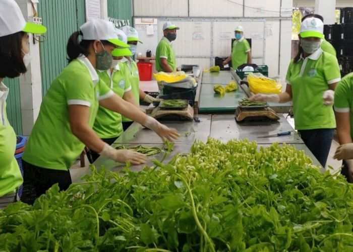 Hà Nội tiếp tục triển khai hiệu quả các chương trình giám sát, đánh giá nguy cơ và phòng ngừa rủi ro về an toàn thực phẩm trên toàn bộ chuỗi sản xuất, sơ chế, chế biến, kinh doanh và tại các chợ đầu mối nông sản. Ảnh: PV