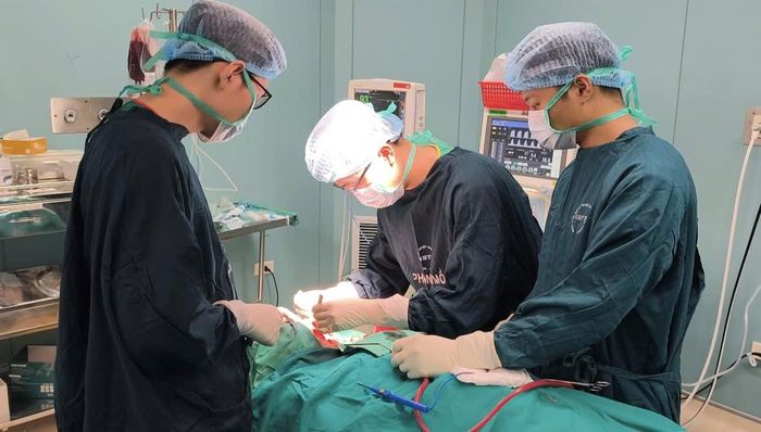 Các bác sĩ cẩn trọng thực hiện can thiệp. Ảnh: BVCC
