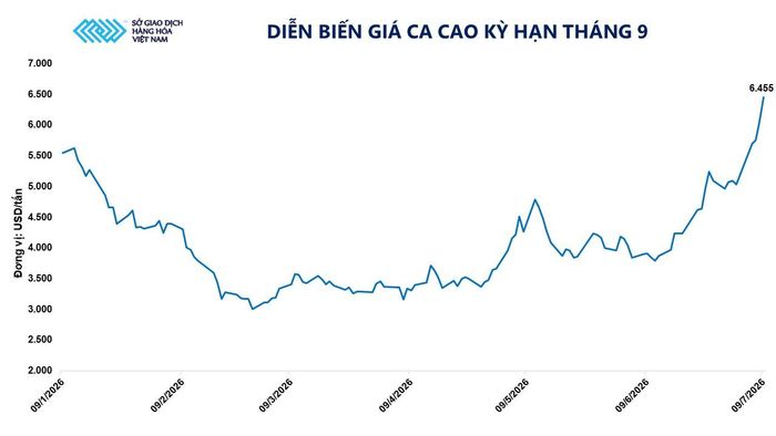 Diễn biến giá ca cao kỳ hạn tháng 9. Nguồn: MXV