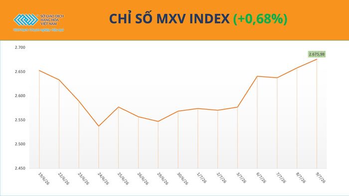 Chỉ số MXV-Index tăng phiên thứ ba liên tiếp. Nguồn: MXV