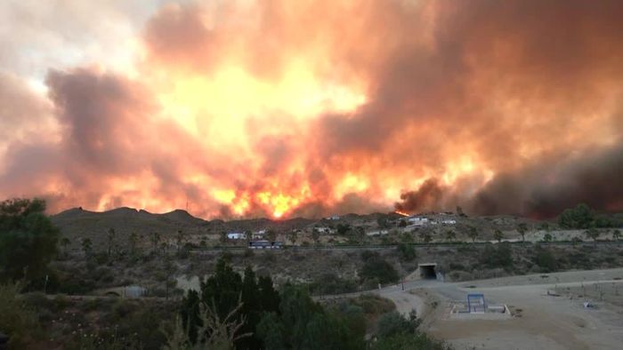 Vụ cháy rừng bùng phát tại khu vực Los Gallardos, tỉnh Almeria, thuộc vùng Andalusia đã nhanh chóng vượt khỏi tầm kiểm soát. Ảnh chụp từ video của Reuters