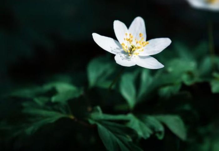 Theo quan niệm truyền thống, tháng 8 Âm lịch là thời điểm mùa màng bội thu, vì vậy người sinh trong tháng này được cho là có duyên với tài lộc. Ảnh minh họa