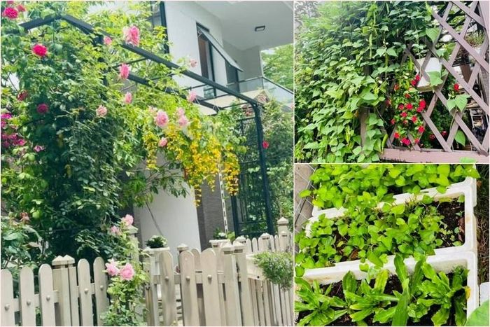 Từ vườn nhà đến sân thượng, Nhật Kim Anh trồng nhiều loại hoa, cây ăn quả và các loại rau xanh.