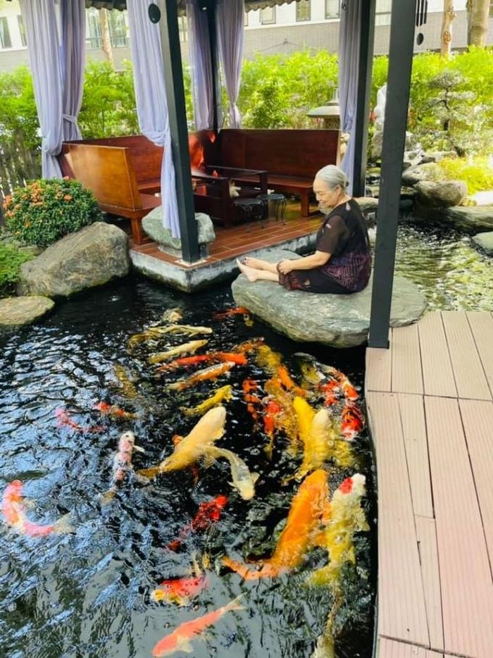 Nữ diễn viên Tiếng sét trong mưa còn thiết kế nhiều tiểu cảnh, khu vực ngồi uống trà. Mẹ của Nhật Kim Anh từ khi dọn lên thành phố cùng con cũng thích ngắm nhìn đàn cá bơi lội.