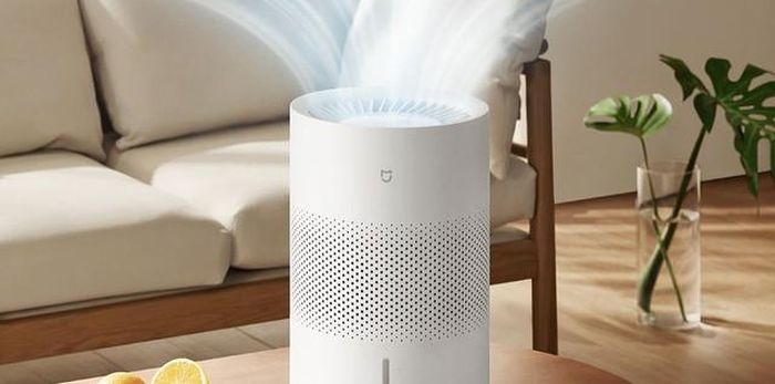 Duy trì độ ẩm trong khoảng 40% - 60%, tránh để môi trường quá khô hoặc quá ẩm. Ưu tiên sử dụng nước sạch theo khuyến cáo của nhà sản xuất.