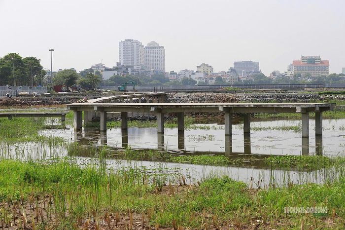 Cầu dạo và các ô mặt nước trong khu vực bãi lọc sinh thái.