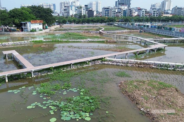Đường dạo và các ô bãi lọc sinh thái đã dần hình thành trong khu vực hồ Sen.