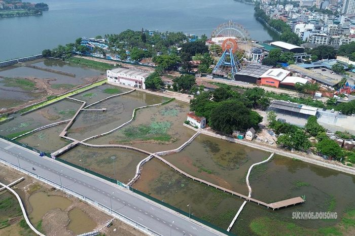 Ba hồ sen nhìn từ trên cao, cạnh khu vực công viên nước và hồ Tây.