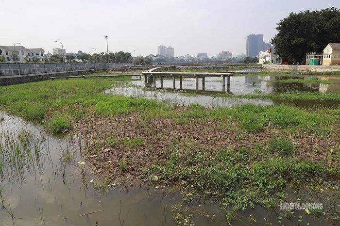 Một phần hồ Sen nhìn từ mặt nước, các khu vực trồng cây và đường dạo đang dần hoàn thiện.