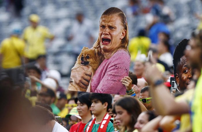  Cổ động viên mang hình ảnh hài hước của Haaland đến trận Na Uy - Brazil. Ảnh: Reuters. 