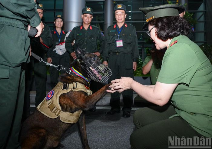 Những chú chó nghiệp vụ đã đóng góp tích cực cho nhiệm vụ khó khăn này.