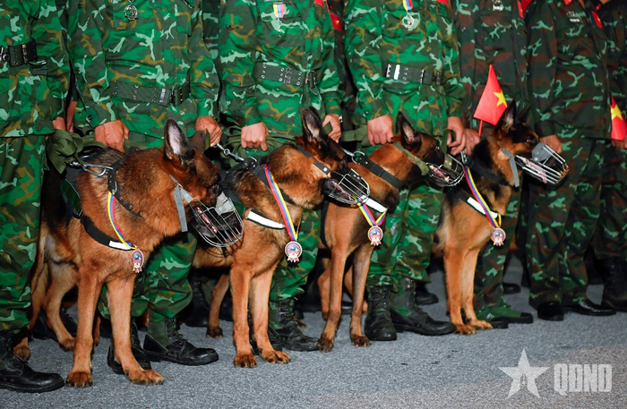 Đội chó nghiệp vụ của đoàn Việt Nam tham gia khắc phục hậu quả động đất tại Venezuela.
