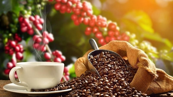 Bản tin nông sản hôm nay (11-7): Giá cà phê tăng mạnh. Ảnh minh họa: congluan.vn