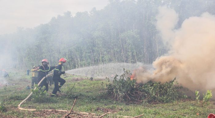  Diễn tập chữa cháy rừng tại Hòa Vang, sáng 11-7. Ảnh: XUÂN QUỲNH 