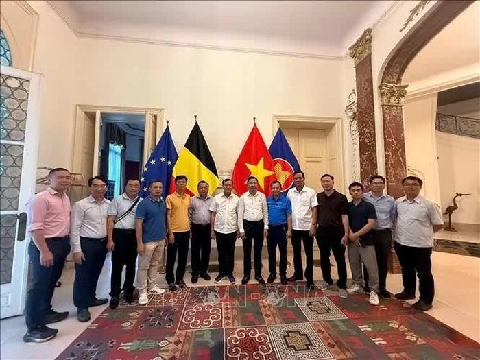 Đoàn công tác Ủy ban Quốc phòng, An ninh và Đối ngoại của Quốc hội thăm và làm việc với Đại sứ quán Việt nam tại Vương quốc Bỉ.