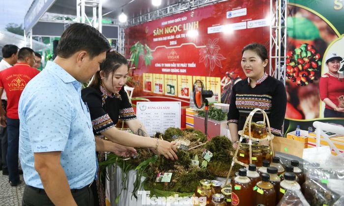  Tình cờ đi du lịch Đà Nẵng đúng vào dịp phiên chợ sâm và dược liệu, anh Nguyễn Văn Mạnh (du khách Hà Tĩnh) tìm và chọn mua được lá sâm cùng các loại trà sâm về làm quà. 
