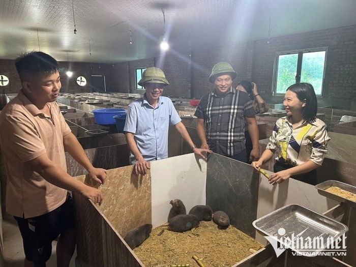 Anh Trưởng A Si giới thiệu với cán bộ xã mô hình nuôi dúi của gia đình. Ảnh: Mỹ Dung