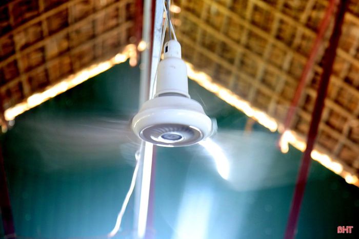 Việc chống nóng cho chồn cũng hết sức quan trọng. Trại được lợp bằng mái tranh, đồng thời lắp thêm quạt trần để giải nhiệt cho vật nuôi vào mùa nắng nóng.