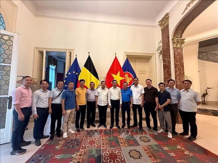 Đoàn công tác Ủy ban Quốc phòng, An ninh và Đối ngoại của Quốc hội thăm và làm việc với Đại sứ quán Việt nam tại Vương quốc Bỉ.