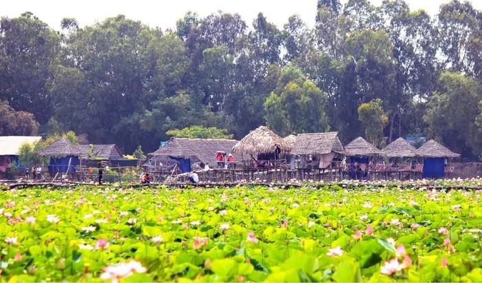 Cảnh quê Đồng Tháp.