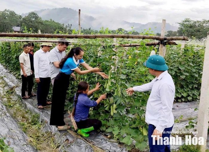 Tổ truyền thông cộng đồng thôn Giỏi thăm mô hình sản xuất trồng cây dưa lấy hạt của hộ dân trong thôn.
