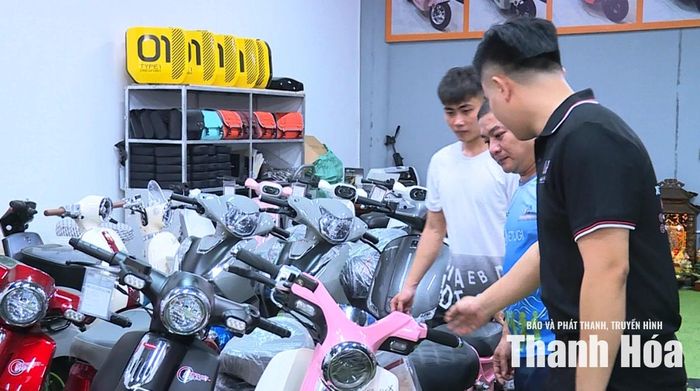 Nhiều mẫu xe điện DK Bike được bày bán tại cửa hàng xe điện Lâm Nguyễn, phường Hạc Thành.