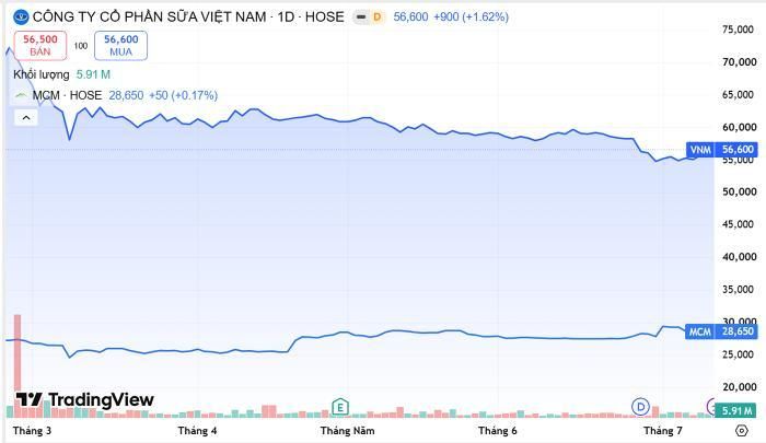  Diễn biến giá cổ phiếu VNM, MCM. Nguồn TradingView 