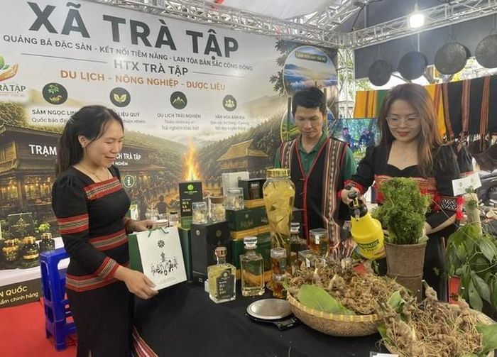 Người dân xã Trà Tập đưa sản phẩm sâm Ngọc Linh trồng tại địa phương đến giới thiệu tại chương trình. Ảnh Ngô Anh Văn