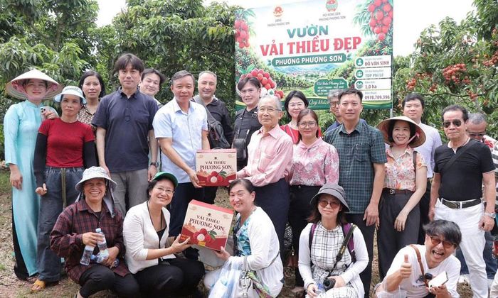  Du khách Nhật Bản tham quan, tìm hiểu về quy trình chăm sóc vải thiều tại phường Phượng Sơn. 