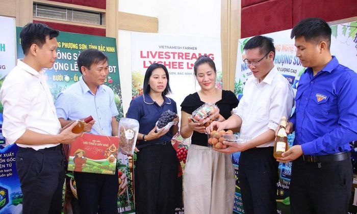  Phường Phượng Sơn tuyên truyền, giới thiệu nông sản đặc trưng. 