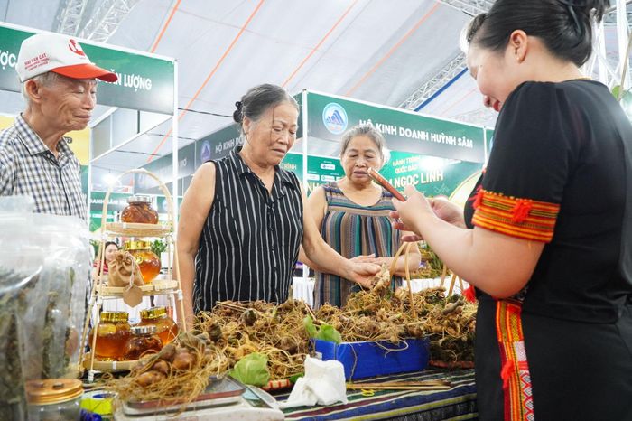 Người dân và du khách tại trung tâm đô thị Đà Nẵng có cơ hội tham quan, trải nghiệm sâm Ngọc Linh tại chương trình. Ảnh: VINH ANH