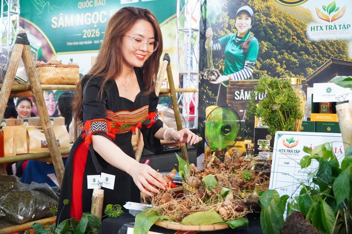 Những củ sâm Ngọc Linh nhiều năm tuổi được trưng bày đẹp mắt tại các gian hàng. Ảnh: VINH ANH