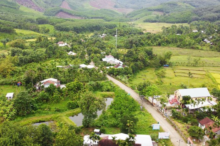 Trà Tân định hướng xây dựng lại các vùng trồng cây ăn quả hướng tới nhu cầu thị trường. Ảnh: PHAN VINH